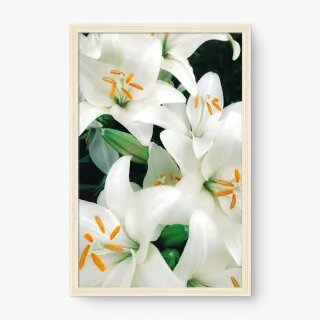 quadro decorativo quadro decorativo