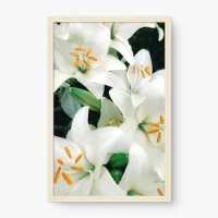 Quadro Decorativo Lírios Brancos – Arte Floral Elegante