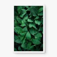 Quadro Decorativo Hortelãs - Quadros de flores Quadro Decorativo Hortelãs - Quadros de flores