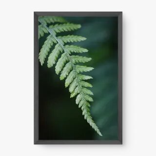 quadro decorativo quadro decorativo