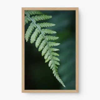 quadro decorativo quadro decorativo