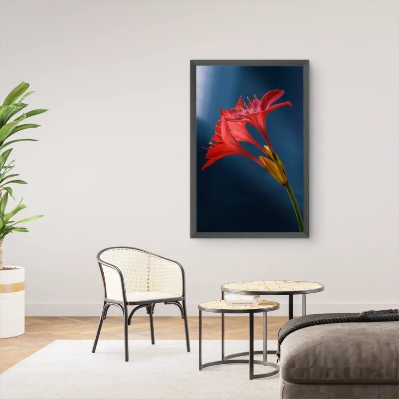 quadro decorativo