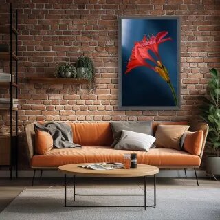 quadro decorativo quadro decorativo