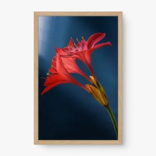 quadro decorativo quadro decorativo