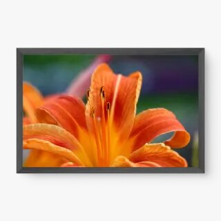 quadro decorativo quadro decorativo