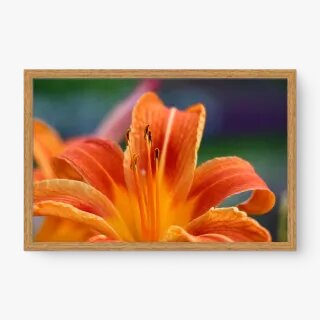 quadro decorativo quadro decorativo