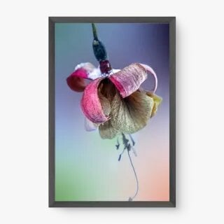 quadro decorativo quadro decorativo