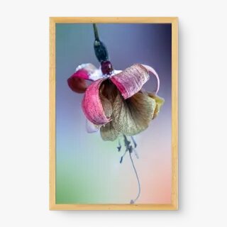 quadro decorativo quadro decorativo