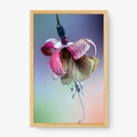 Quadro Decorativo Lírio Seco - Quadros de flores