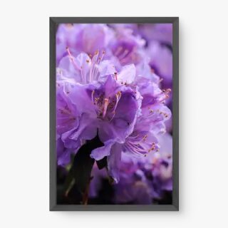 quadro decorativo quadro decorativo