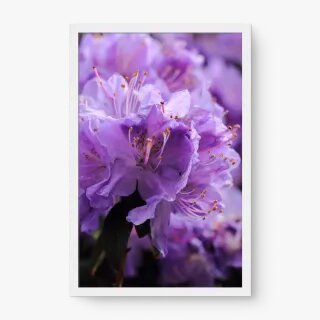 quadro decorativo quadro decorativo