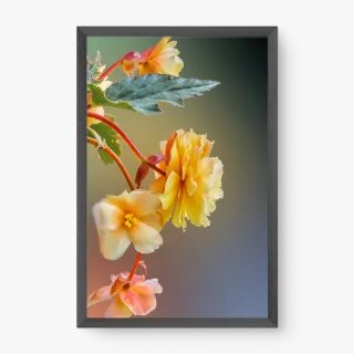 quadro decorativo quadro decorativo