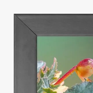 quadro decorativo quadro decorativo