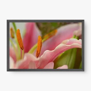 quadro decorativo quadro decorativo