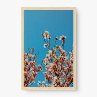 Quadro Decorativo Topo de Cerejeira - Quadros de flores