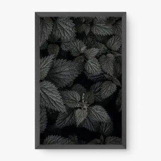 quadro decorativo quadro decorativo