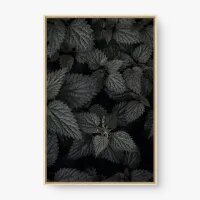 Quadro Decorativo Folhas Negras – Quadro de Folhagens Escuras
