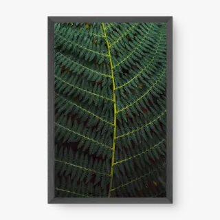 quadro decorativo quadro decorativo