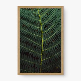 quadro decorativo quadro decorativo