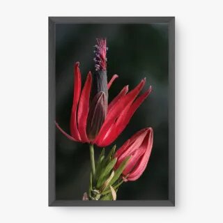 quadro decorativo quadro decorativo
