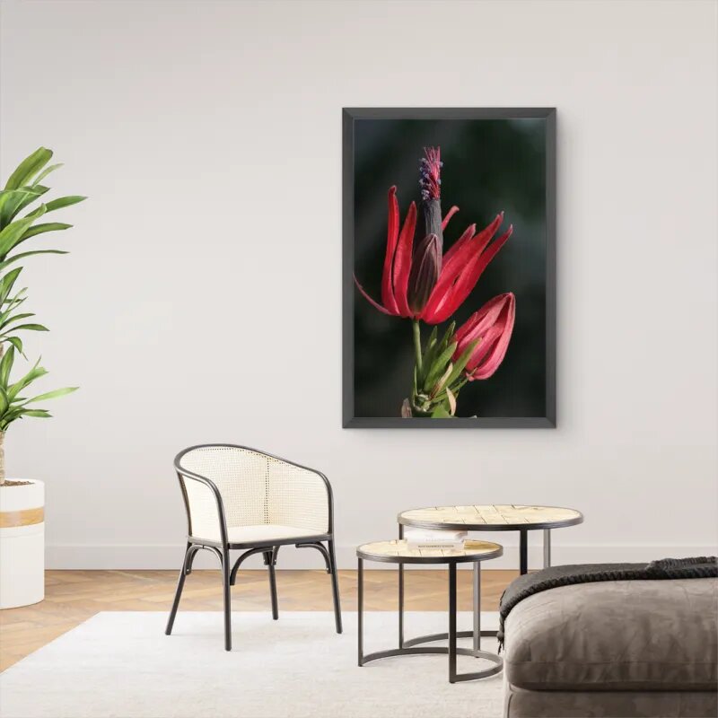 quadro decorativo