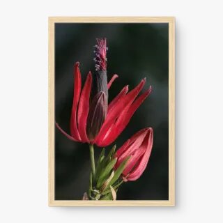 quadro decorativo quadro decorativo