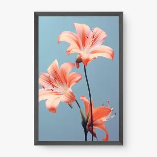 quadro decorativo quadro decorativo