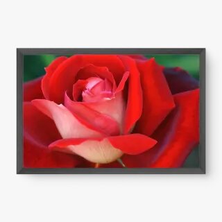 quadro decorativo quadro decorativo