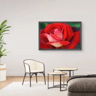 quadro decorativo quadro decorativo