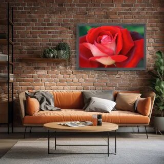 quadro decorativo quadro decorativo