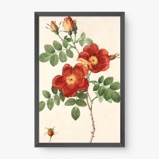 quadro decorativo quadro decorativo