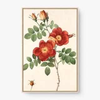 quadro decorativo quadro decorativo