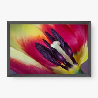quadro decorativo quadro decorativo