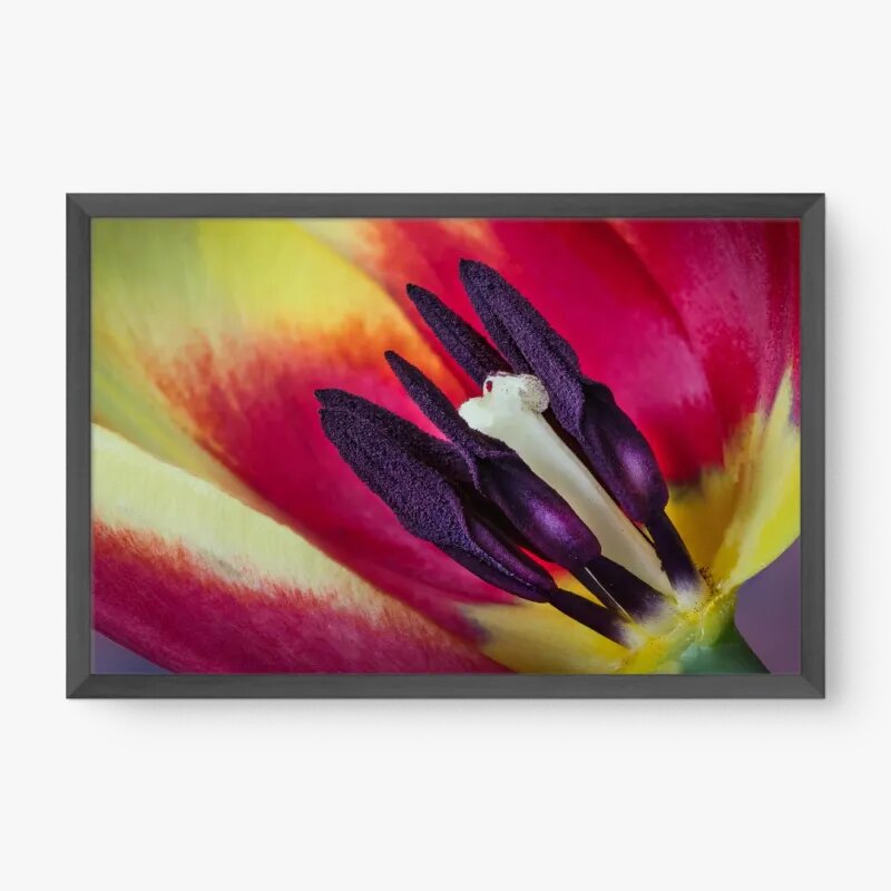 quadro decorativo quadro decorativo
