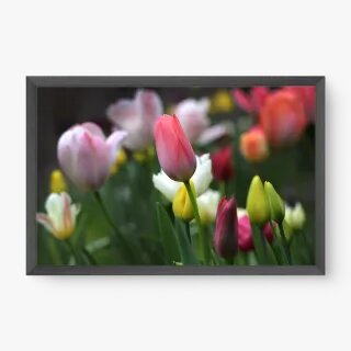quadro decorativo quadro decorativo