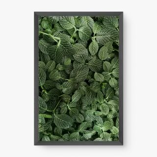 quadro decorativo quadro decorativo