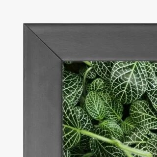quadro decorativo quadro decorativo