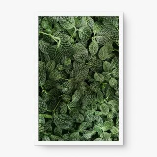 quadro decorativo quadro decorativo
