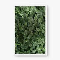 Quadro Decorativo Folhas - Quadros de flores