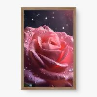 Quadro Decorativo Rosa Cor de Rosa - Quadros de flores Quadro Decorativo Rosa Cor de Rosa - Quadros de flores