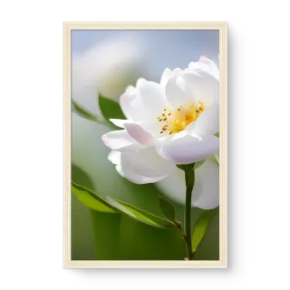 quadro decorativo quadro decorativo