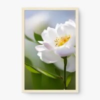 Quadro Decorativo Rosa Branca – Delicadeza e Elegância Floral