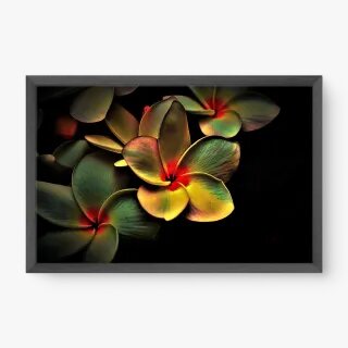 quadro decorativo quadro decorativo