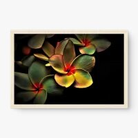Quadro Decorativo Flor Frangipani – Arte Floral Dramática