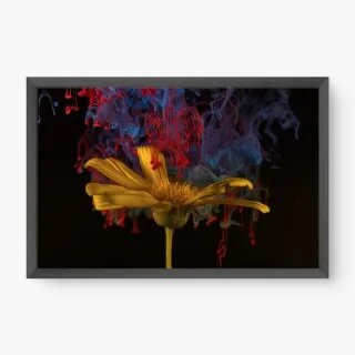 quadro decorativo quadro decorativo