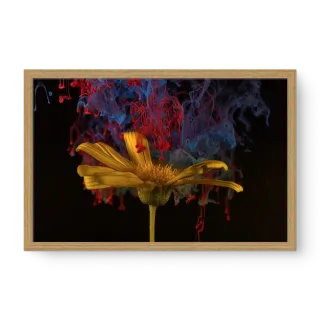 quadro decorativo quadro decorativo