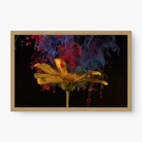 Quadro Decorativo Margarida Enfumaçada - Quadros de flores