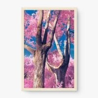 Quadro Decorativo Árvores Floridas - Quadros com natureza