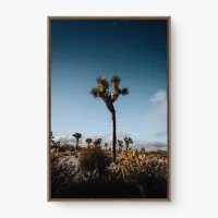 Quadro Decorativo Semiarido – Paisagem Árida Natural