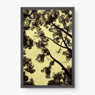 quadro decorativo quadro decorativo
